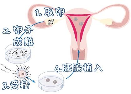关于 靠谱代怀包成功